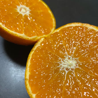 作本柑橘園の津之輝3キロ(ハウス栽培) | 果物/オレンジ・その他みかん