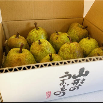 早期予約割引】山形県産ラフランス【訳あり3キロ✖️2箱