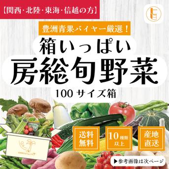 【関西・北陸・東海・信越へ配送の方】100サイズが圧倒的にお買得！箱いっぱい房総旬野菜詰め合わせ（100サイズ箱） 100サイズ箱いっぱい 野菜/野菜セット・詰め合わせ通販