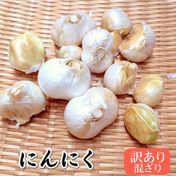 新物 にんにく バラ 訳あり混ざり 500g（兵庫県産）臭いが少ない