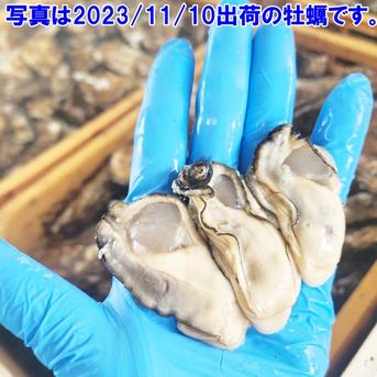 30％OFF販売中　生食用 剥き身（お鍋にも可） 牡蠣 宮城県産 500ｇ×20本 カキ むき身 牡蛎【条件付き】 10kg 魚介類/牡蠣通販