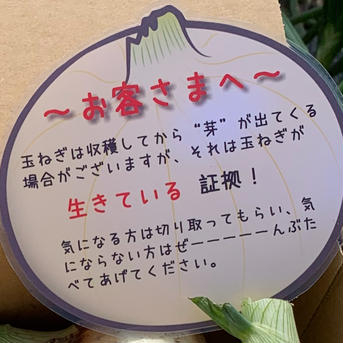 訳ありかも新玉ねぎ5kg🧅シャーロットオニオン　今が旬　淡路島極熟玉葱 訳あり新玉ねぎ5kg 野菜/玉ねぎ通販