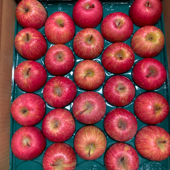 サンふじ家庭用 小玉サイズ5k（23玉〜25玉） | 果物/りんご 産直アウル