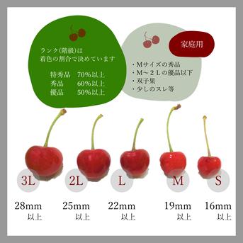 紅秀峰 家庭用1kg ｜ 果物/さくらんぼ 産直アウル 農家・漁師など生産