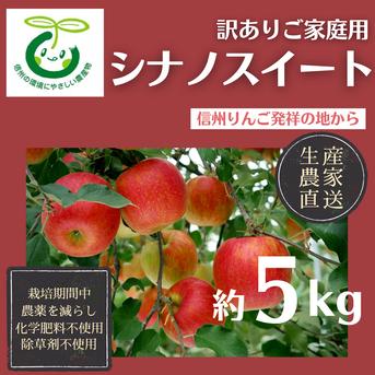 生産農家直送 りんご シナノスイート 訳ありご家庭用 5kg 長野県産