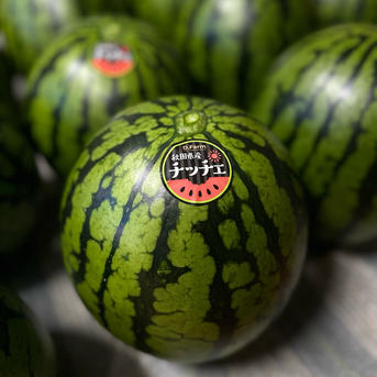 L-2L】あきた夏丸チッチェ 1玉 ｜ 果物/スイカ 産直アウル 農家・漁師