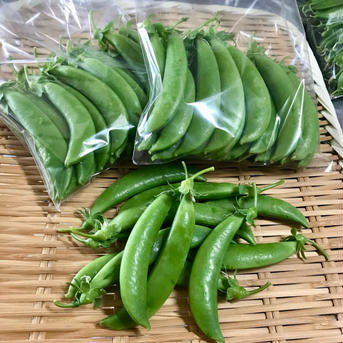 自然栽培スナップエンドウ1kg スナップエンドウ　バラ1kg 野菜/その他野菜通販