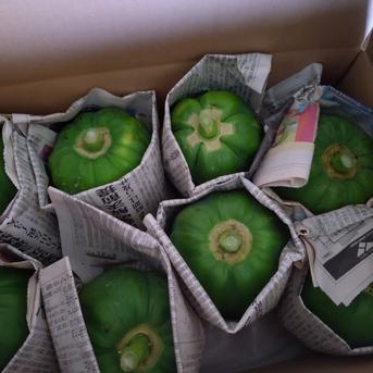 青パパイヤ 2kg ｜ 野菜/パパイヤ 産直アウル 農家・漁師など生産者