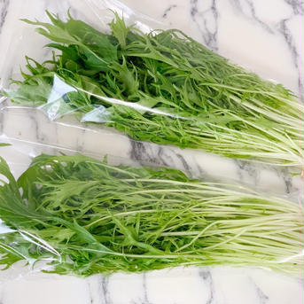 【サラダにぴったり！】使いやすい水耕サラダセット🥗 6袋 野菜/野菜セット・詰め合わせ通販