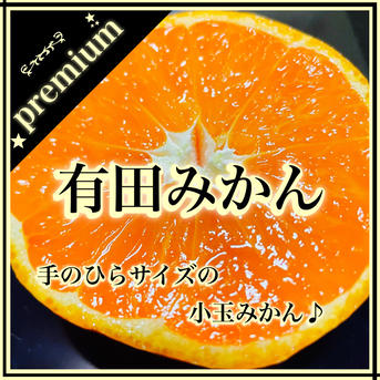 小玉 premium有田みかん お試し1キロ SMサイズ 訳あり | 果物/温州