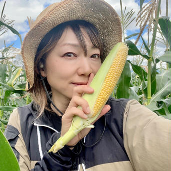 信州産(24本入)大和ルージュ｜生糖もろこし 生糖もろこし12本、大和ルージュ12本 野菜/とうもろこし通販