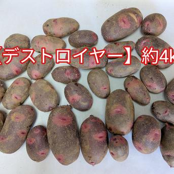 デストロイヤー】約4kg茨城県産 ｜ 野菜/じゃがいも 産直アウル 農家