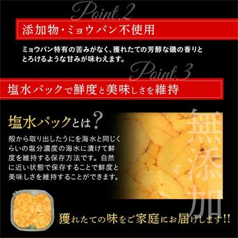 塩水生うに(キタムラサキウニ)100g×5個入 礼文島産 【送料無料】 100g×５個 魚介類/ウニ通販