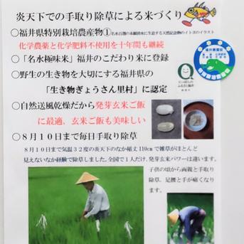 名水極味米 7年産コシヒカリ 発芽用玄米20kg(10kg×2袋) 特別栽培1