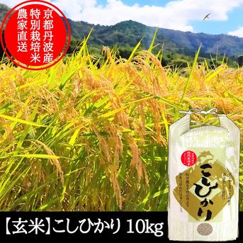 玄米】コシヒカリ 10kg 特別栽培米 こしひかり 京都府産 ｜ 米・穀物