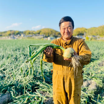 【お試しセール】訳あり淡路島サラダ新たまねぎ（10キロ） 10kg 野菜/玉ねぎ通販