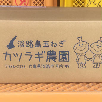 淡路島産玉ねぎ5kg 品種【七宝】Sサイズ直径約5〜6センチ 約5kg  野菜/玉ねぎ通販