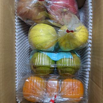 訳あり4点セット 約4.4kg 果物/果物セット・詰め合わせ通販