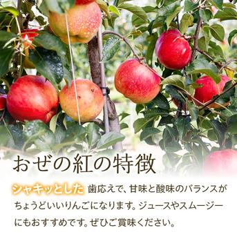 りんご【おぜの紅】約3kg 2026年度予約受付中 香り豊かな初秋のりんご