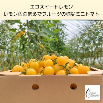 北海道　ミニトマトジュース「カナンの丘の滴」1000ml 6本セット juce3.JPG