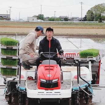 無農薬米新潟県産コシヒカリ15k | 米・穀物/米/精米 産直アウル 農家