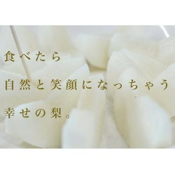 リピート率NO.1！甘くてシャキシャキのまんまる◯あきづき梨　約3㎏ 約3kg 果物/梨通販