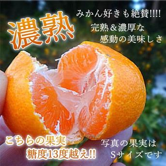 濃厚で感動の甘さ！ネットで噂のブランドみかん「蜜ツ丸（みつまる）」　黒の化粧箱（小）厳選プレミアム　Ｍサイズ　8玉【商品番号137】【11/20～12/15発送分】 800ｇ 果物/温州みかん通販