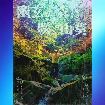 小さめ本生ﾜｻﾋﾞ_200g前後(訳ｱﾘ)お得,お試し,おまかせ 本生ﾜｻﾋﾞ【200ｇ】前後 野菜/薬味通販