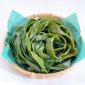 茎わかめ400g×5袋 ｜ 魚介類/海藻 産直アウル 農家・漁師など生産者