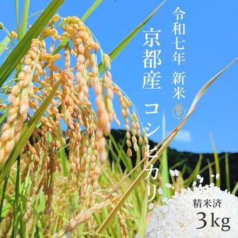 令和7年度　京都府産　コシヒカリ自家生産　説明欄必読　精米済み 令和7年 新米】京都府産 お米 コシヒカリ 【精米済 3kg】 ｜ 米・穀物