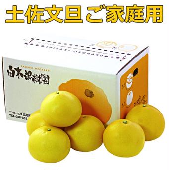 白木果樹園産、わけあり家庭用土佐文旦10kg箱 10kg 果物/オレンジ・その他みかん通販