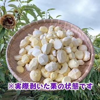 ほっこり甘さ凝縮！『冷凍むき栗』山鹿和栗 （250g×3パック