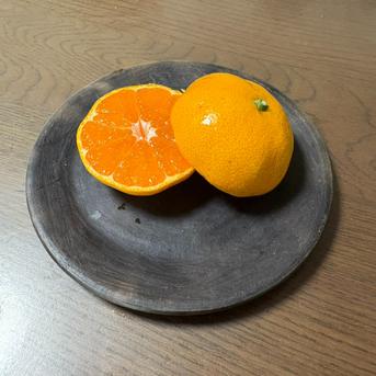 果汁溢れる！甘くて酸っぱい【田口早生】みかん 5kg ｜ 果物/果物