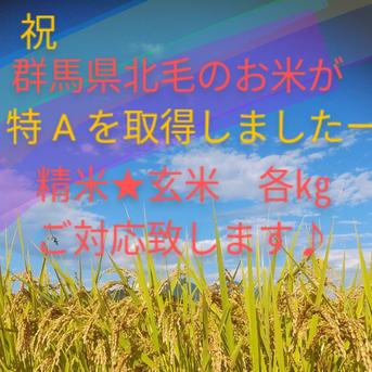 群馬県産コシヒカリ　送料込み　精米20㎏(10×2袋) 20㎏ 米・穀物/米/精米通販