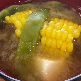 驚きの甘さ！朝採り　わくわくコーン🌽 10本セット 約5キロ 野菜/とうもろこし通販