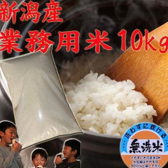 業務用米  無洗米  10キロ  令和6年産  (送料込み) 10kg×1 米・穀物/無洗米通販