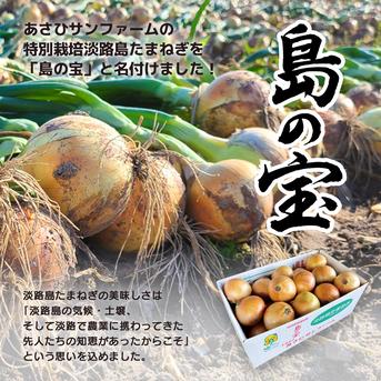 1日10名様限定特別価格 【 大玉 20kg 】 新たまねぎ 淡路島産 4月17日