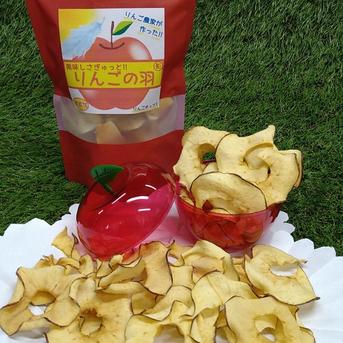 蔵出し◆完熟ふじりんご(ご家庭用約2kg)＆りんごの恵み ふじりんご約2kg*1本*1袋 果物/果物セット・詰め合わせ通販