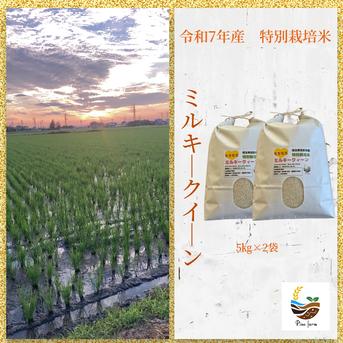 R7年産特別栽培米 ミルキークイーン 10kg ｜ 米・穀物/米/精米 産直