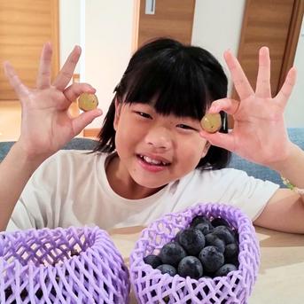 大特価】食べ比べセット 約2kg (サンシャインレッド2房+シャイン