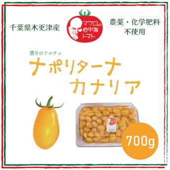 カラーミニトマト　ナポリターナカナリア　700g 1kg  野菜/トマト通販