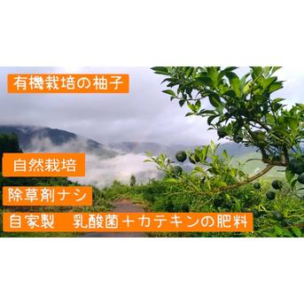 農家直送　宮崎県　西米良の青ゆず　キズ少なめ　約10kg 宮崎県西米良の青ゆず 有機栽培 約2kg ｜ 果物/香酸柑橘(ライム