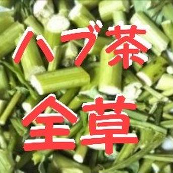 在庫一掃処分ハブ茶全草2kg 2000g お茶/その他のお茶通販