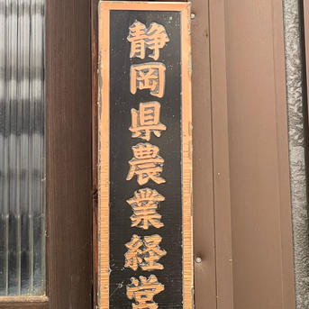 はらみかん農園の蔵出し青島みかん　4キロ 4キロ 果物/温州みかん通販