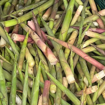 ラストチャンス❗️マタギの里　北秋田　森吉山の採れたてネマガリダケ ネマガリダケ1,000g 他山菜合わせて、5キロ以内 野菜/山菜通販