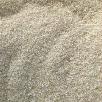 【令和6年産新米】北海道厚沢部町産　ゆめぴりか10kg（5kg×2袋） 10kg （5kg✖️2袋） 米・穀物/米/精米通販
