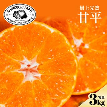 訳ありだけど美味しさそのまま】甘平 3kg 愛媛県産 ｜ 果物/オレンジ