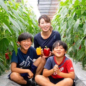 今だけ！お試しキャンペーン！！！完熟パプリカ「和ぷりか」2ｋｇ（10～14個） 2kg 野菜/パプリカ通販