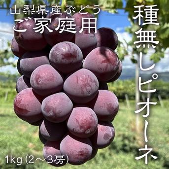 山梨県産　訳あり　家庭用　ぶどう　種無し　ピオーネ　10房　箱込み5.7kg ② 山梨県産】訳あり ピオーネ1kg ご家庭用 ｜ 果物/ぶどう 産直アウル