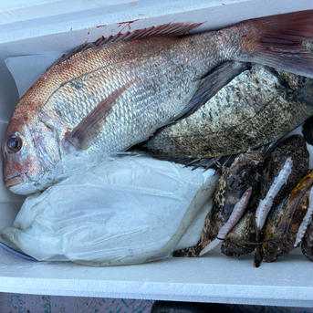 お楽しみセット 4k前後 魚介類/魚介セット・詰め合わせ通販